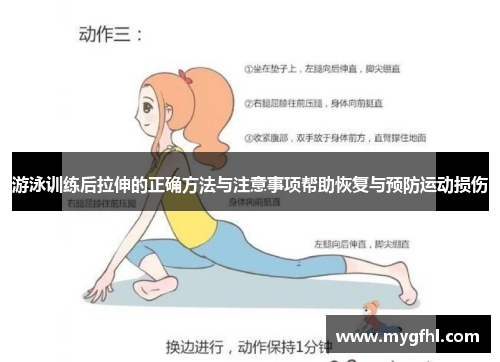 游泳训练后拉伸的正确方法与注意事项帮助恢复与预防运动损伤
