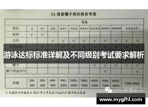 游泳达标标准详解及不同级别考试要求解析